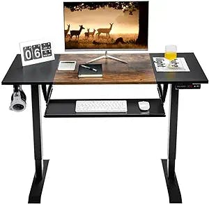 ZSEDP 48" Electric Lift System Sit-Stand Desk Adjustable Workstation with Keyboard Tray