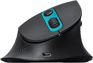 SANWA Bluetooth&Type-C/2.4G Ergonomic Mouse: A Mouse You'll Love to Click W