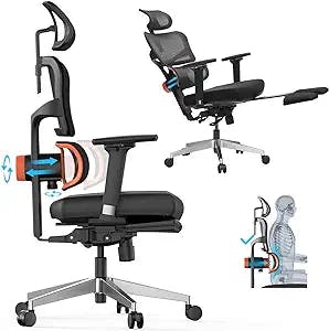 Office Comfort: The Ultimate Newtral Ergonomic Chair Review