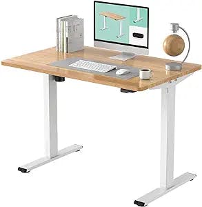 Get Your Work Groove on with the FLEXISPOT EC1 Electric Adjustable Height S