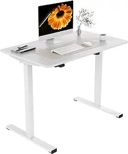 Electric Standing Desk 40 x 24 Inches, Height Adjustable Stand Up Desk w/2-Button Controller, Small Sit Stand Desk, Ergonomic Computer Desk for Home Office, White Frame + White Tabletop