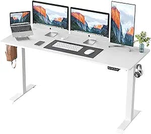 Work Hard, Stand Hard: Shintenchi Electric Standing Desk Review