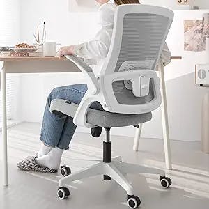 neo chair High Back Mesh Chair Adjustable Height and Ergonomic Design Home Office Computer Desk Chair Executive Lumbar Support Padded Flip-up Armrest Swivel Chair (Grey)