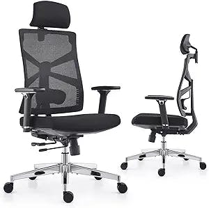 HOLLUDLE Ergonomic Office Chair with Adaptive Backrest, High Back Computer Desk Chair with 4D Armrests, Adjustable Seat Depth, Lumbar Support and 2D Headrest, Swivel Task Chair, Black