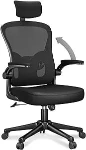 naspaluro Ergonomic Office Chair, High-Back Computer Chair with Adjustable Height, Headrest, Flip-Up Arms and Lumbar Support, Breathable Mesh Desk Chair for Home Study Working (Black)