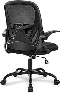 Primy Office Chair Ergonomic Desk Chair with Adjustable Lumbar Support and Height, Swivel Breathable Desk Mesh Computer Chair with Flip up Armrests for Conference Room (Black)
