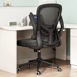 Hbada Ergonomic Office Chair Work Desk Chair Computer Breathable Mesh Chair with Adjustable Lumbar Support and Flip Up Arms, Black