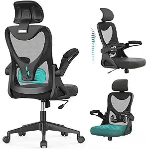"Get Your Back In Gear with this Epic Ergonomic Office Chair!" 