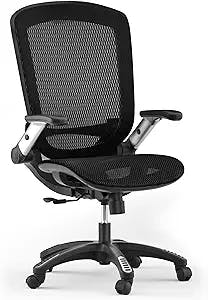 GABRYLLY Ergonomic Office Chair, High Back Mesh Home Desk Chair with Lumbar Support and Adjustable Flip-up Arms, Comfortable Seat, Tilt Function, Swivel Computer Task Chairs