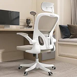 The Perfect Office Chair? We Put the Monhey Ergonomic Office Chair to the T