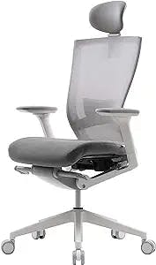 SIDIZ T50 Ergonomic Home Office Chair : High Performance, Adjustable Headrest, 2-Way Lumbar Support, 3-Way Armrest, Forward Tilt, Adjustable Seat Depth, Ventilated Mesh Back, Cushion Seat (Gray)
