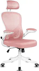 The Pink Executive Throne of Ultimate Comfort: A Review of the Misolant Erg